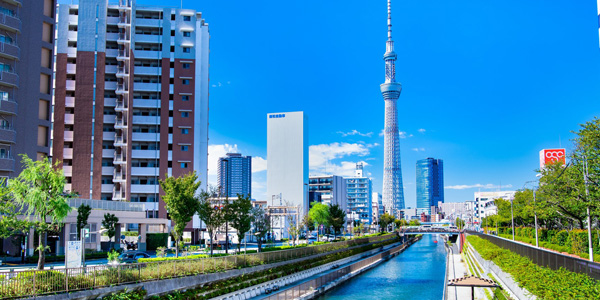 台東区エリア